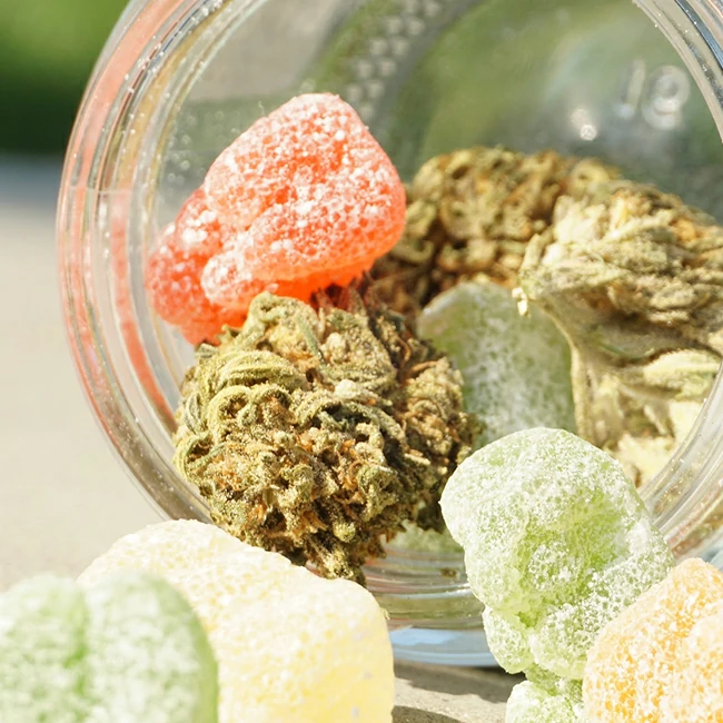 Understanding the Effects of Cannabis Edibles on Those with Medical Concerns